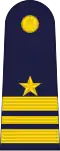 A RTAF insígnias do líder do esquadrão.