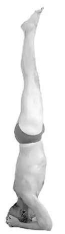 Sírshásana Invertida sobre a cabeça