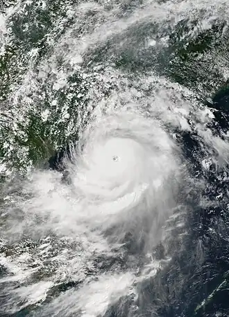 imagem ilustrativa de artigo Tufão Rammasun