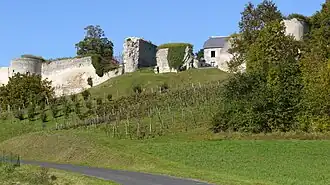 Mulalhas de Coucy-le-Château-Auffrique