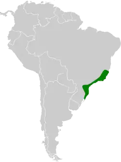 Distribuição do beija-flor-rajado