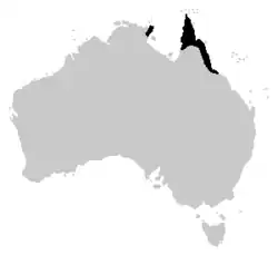 Distribuição de Papurana daemeli (a preto).