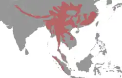 Distribuição territorial do serau-de-crina