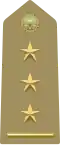 Primo capitano(Italian Army)