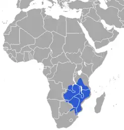 Distribuição do rafícero-de-sharpe