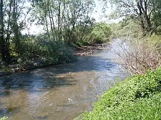 La Resava à Plažane