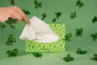 Skin Care Aroma – Mentol