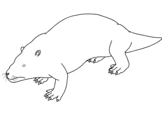 Representação do Repenomamus