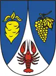Brasão de armas de Řepiště