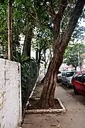 Rua da residência