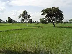 Horizonte de Maha Sarakham มหาสารคาม