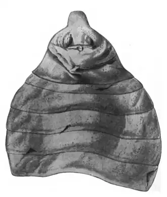 Fóssil de carapaça e porções do abdômen de R. vaningeni