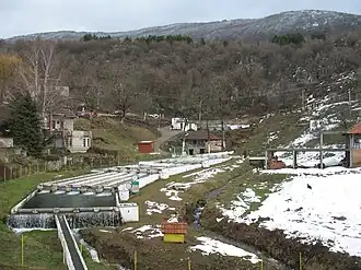 Un étang de pêche à Gornji Dušnik