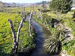 Rio Odres Amarante Vila Meã