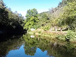 Amarante Olo Rio Olo