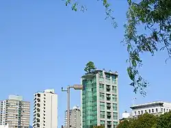 Um exemplo extremo de um jardim no telhado, em Vancouver, British Columbia