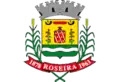 Brasão de armas de Roseira