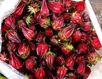 Frutos de H. sabdariffa