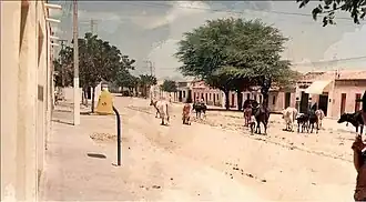 Avenida Manfredo Ferreira Lima em Palestina, no começo dos anos 90.