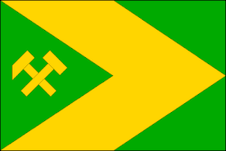 Bandeira de Rynholec