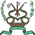 Brasão de armas de São Miguel do Guaporé