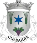 Brasão de armas de Guadalupe