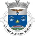 Brasão de armas de Luz