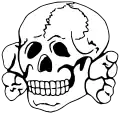 insígnia da cabeça da morte da SS[21]