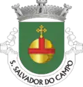 Brasão de armas de São Salvador do Campo
