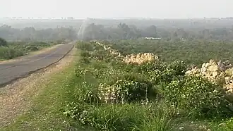"Sahel" sub-region, with "anticline climbing" road