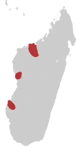 Distribuição da Amaurornis Olivieri.