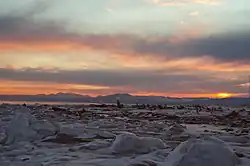 Paisagem invernal na Reserva Poronaysky, Rússia, ao entardecer. O chão está coberto por neve, gelo e troncos de madeira. Ao fundo, montanhas e um céu colorido por tons de laranja e rosa com o sol se pondo no horizonte.