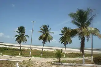 Praia em Salinópolis, Pará (2007)