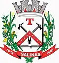 Brasão de armas de Salinas
