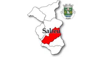 Localização no município de Estarreja