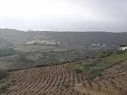 Santiago, vinhas e olivais de Alvites