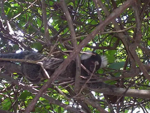 Santuário Ecológico de Pipa.