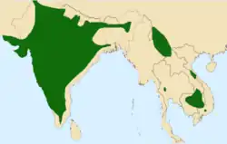 Área de distribuição atual do abutre-de-cabeça-vermelha