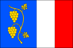 Bandeira de Šardice