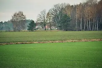 Horizonte de Schilda