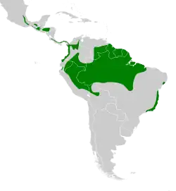Distribuição do vira-folha-de-peito-canela