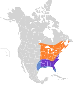 Verão Residente Invernante