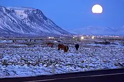 Selfoss em dezembro