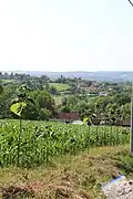 Belosevac - panorama