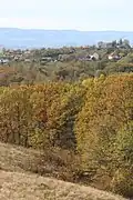 Osečina selo - panorama