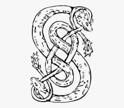duas cobras entrelaçadas para formar um 'S', e mordendo a cauda uma da outra