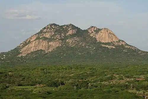 Afloramento: Detalhe das rochas plutônicas.