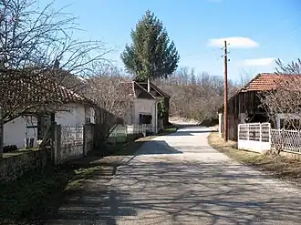 Rue à Sibnica