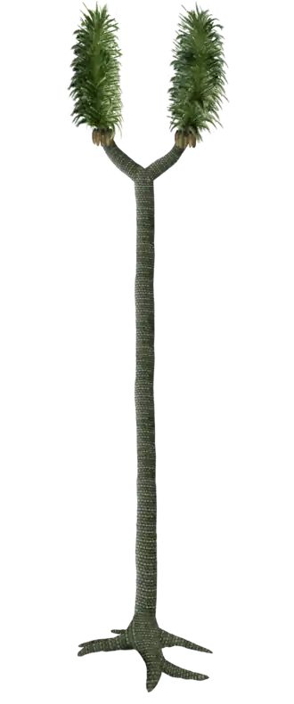 Recriação de um espécime de sigillaria