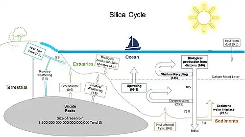 ciclo da sílica marinha e terrestre